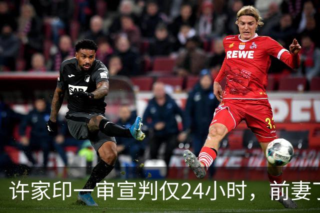 许家印一审宣判仅24小时，前妻丁玉梅被扒底朝天，难怪能逍遥国外